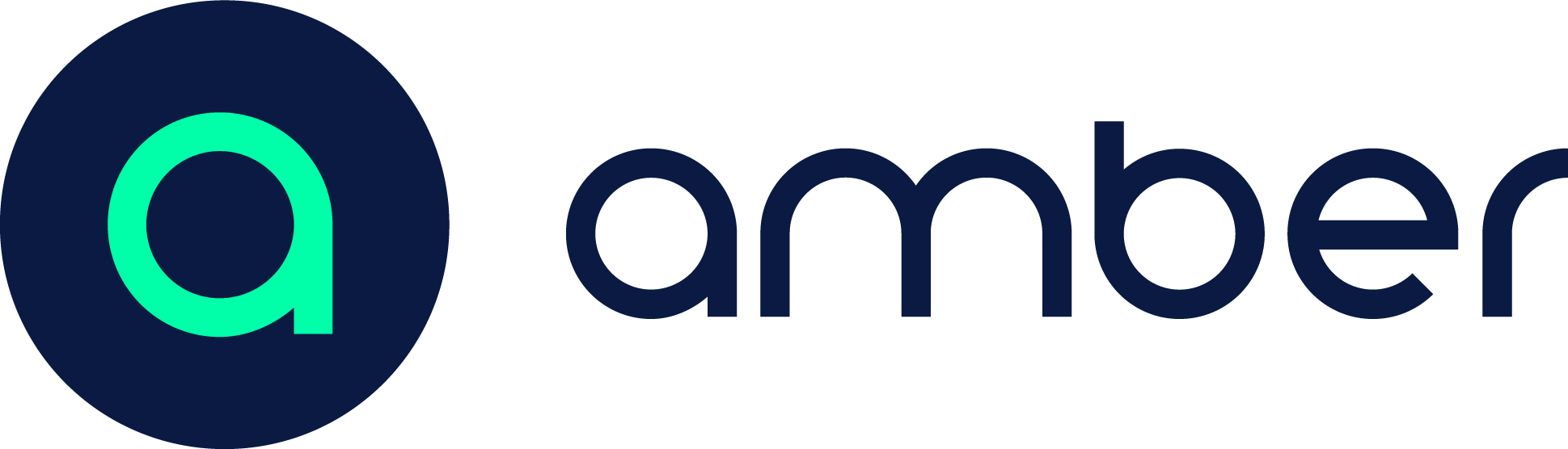 Amber Logo Blue 01