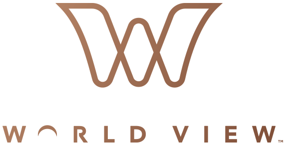 W World View stack gradient logo