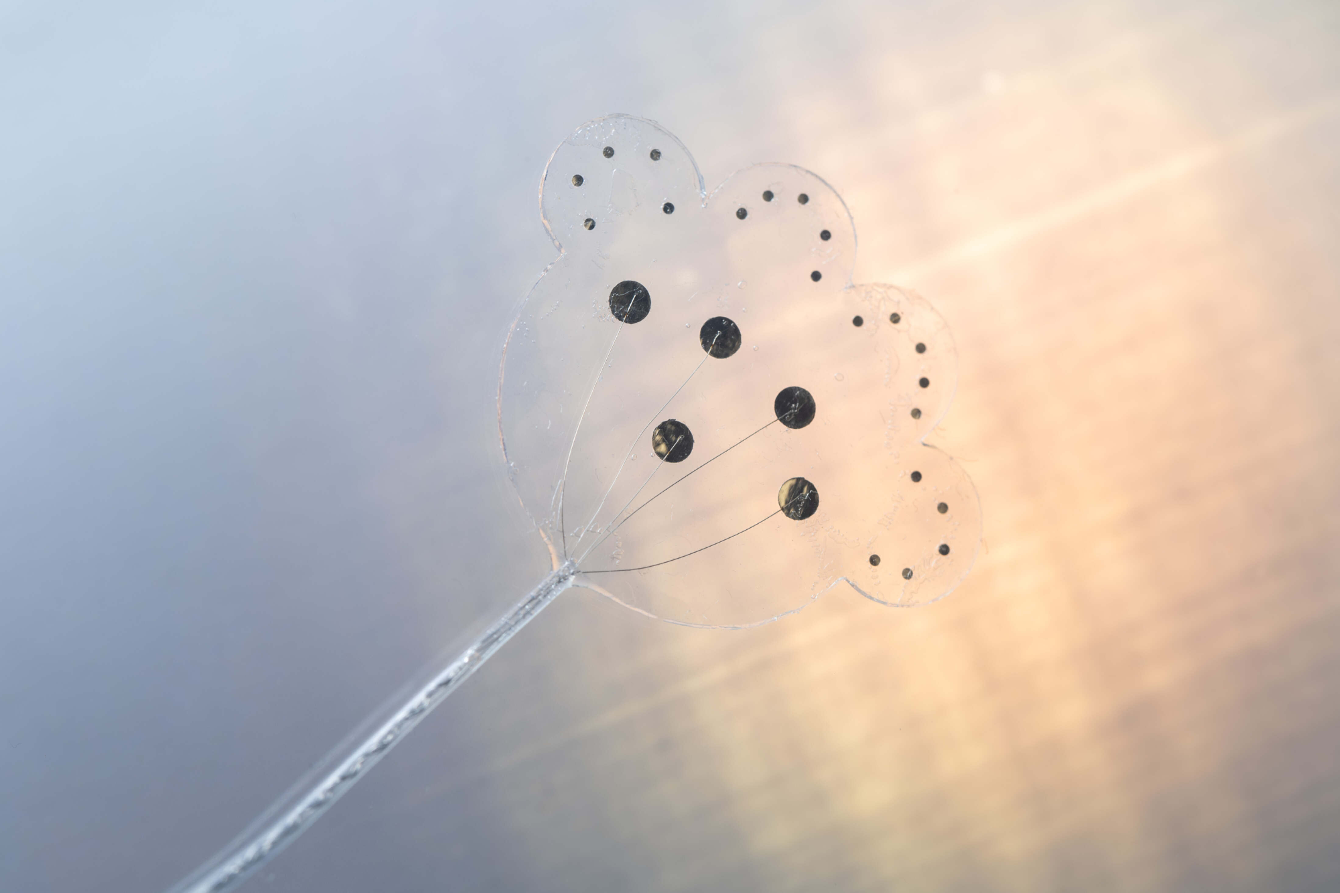 Breakthrough Victoria Fuels Innovation Surge with Billions in Projected ...